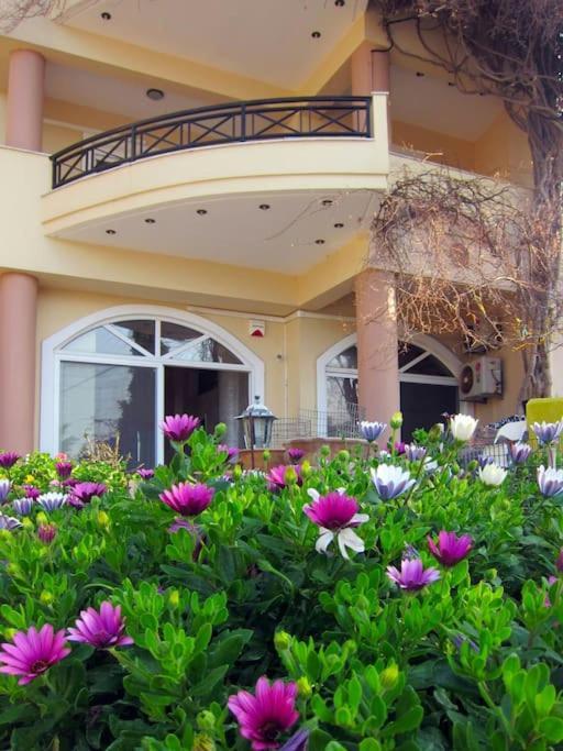 Lenico Beachfront Suites Agia Pelagia Eksteriør bilde