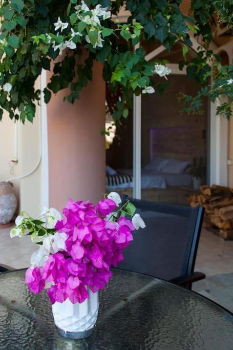 Lenico Beachfront Suites Agia Pelagia Eksteriør bilde